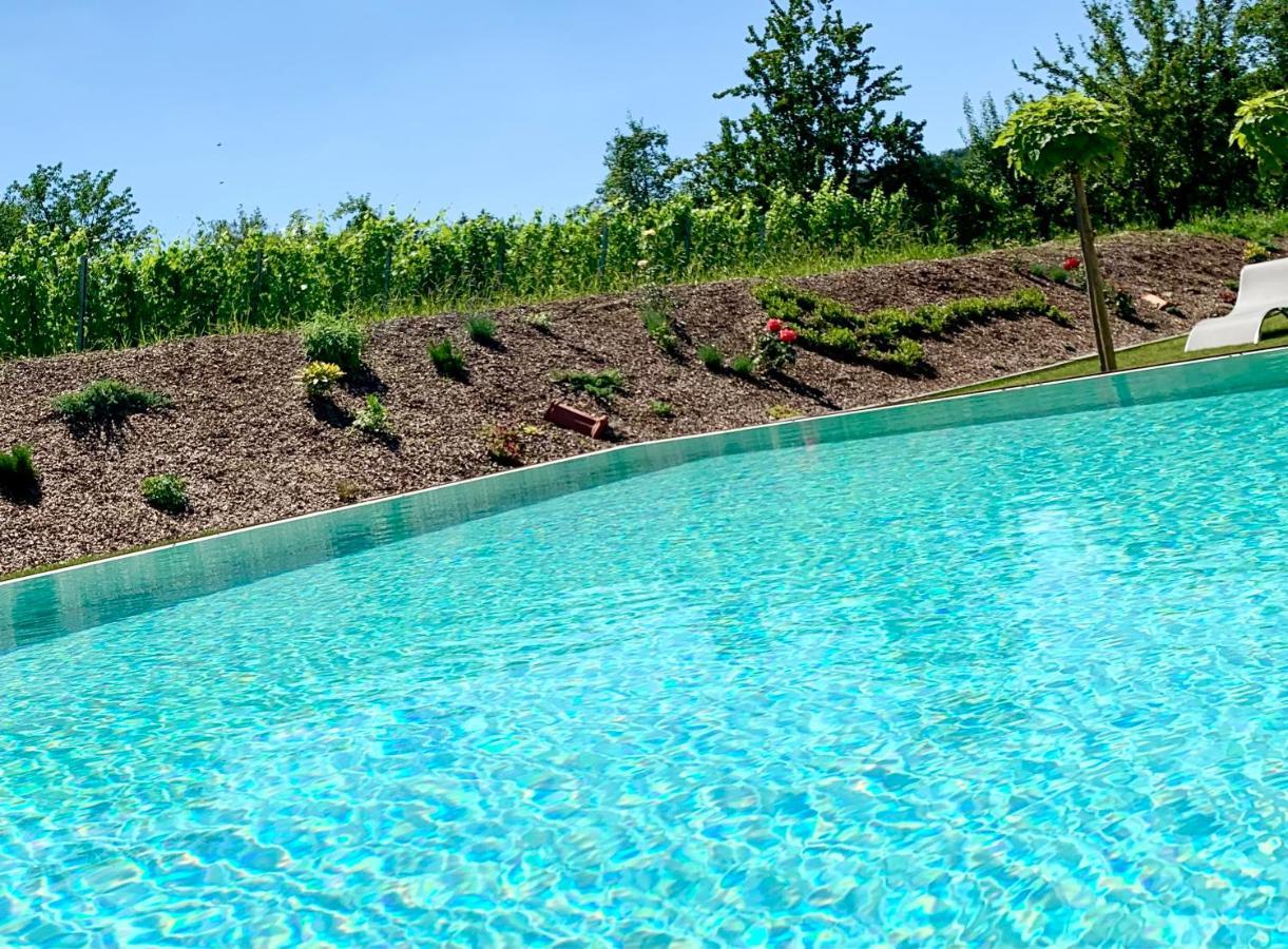 Weinberg Chalets Eisenberg an der Pinka Zewnętrze zdjęcie